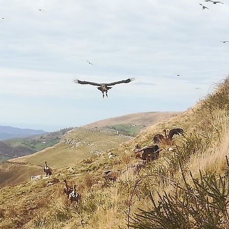 La Pasiega San Roque de Ríomiera エクステリア 写真