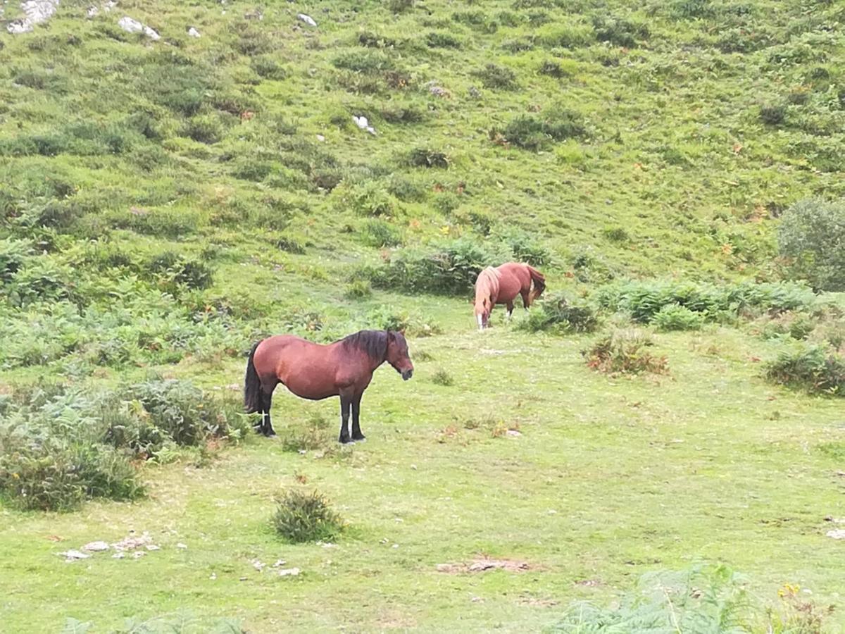 La Pasiega San Roque de Ríomiera エクステリア 写真