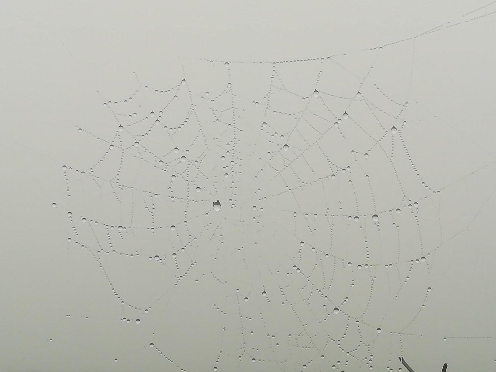 La Pasiega San Roque de Ríomiera エクステリア 写真